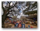austin/23firstq/23firstq0226_257.jpg