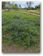 austin/23firstq/23firstq0331_474.jpg