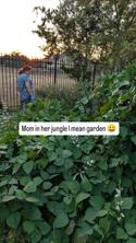 austin/25fourthq/25fourthq20250927_235422.jpg