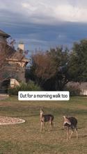 austin/25fourthq/25fourthq20251127_081952.jpg