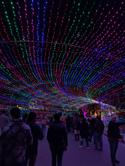 austin/25fourthq/25fourthq20251210_204726.jpg