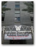 otown/09neworleans/09neworleans1387a.jpg