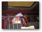 otown/09neworleans/09neworleans1490a.jpg