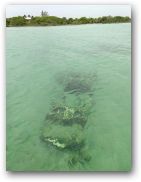 otown/18belize/18belize09_174.jpg