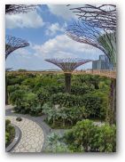 otown/20singapore/20singapore0304_171.jpg