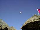 cancun41a.jpg